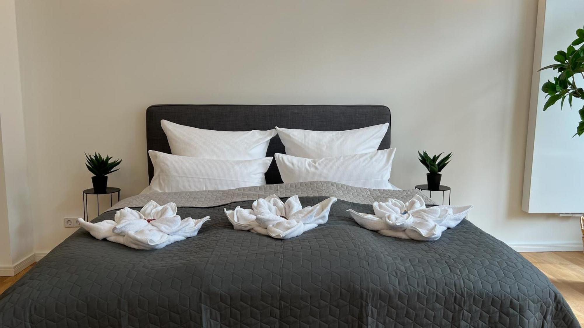 Neu! City-Loft-Apartment Im Goethe Palais I 5P I Lift I Parkplatz I Zentrum I Helios Aue  Ngoại thất bức ảnh