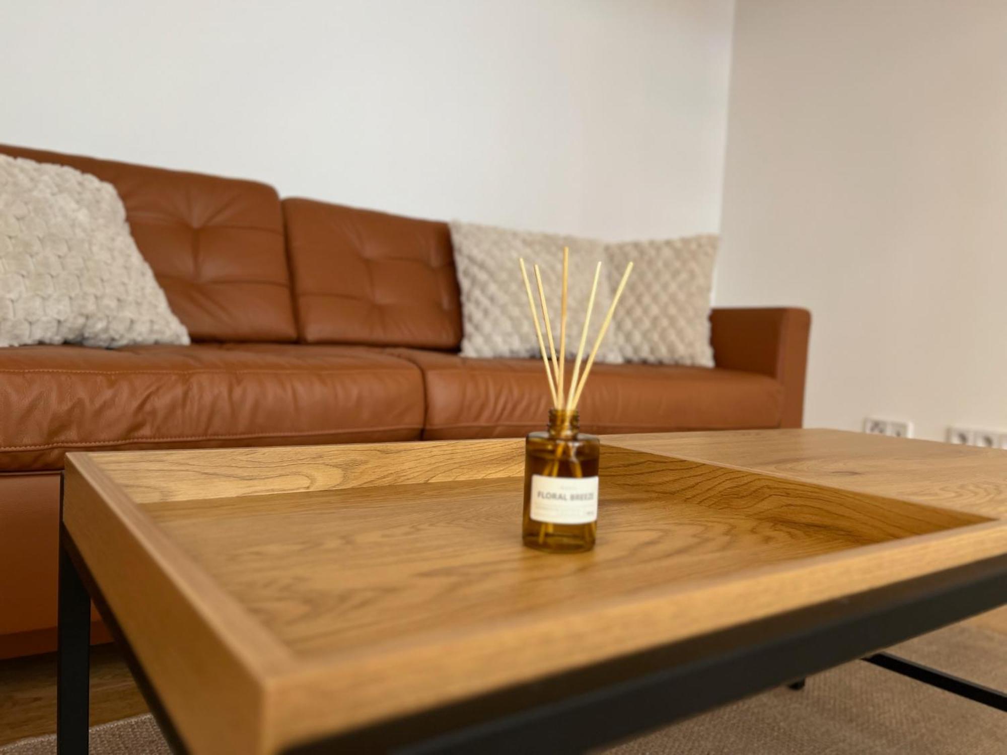 Neu! City-Loft-Apartment Im Goethe Palais I 5P I Lift I Parkplatz I Zentrum I Helios Aue  Ngoại thất bức ảnh